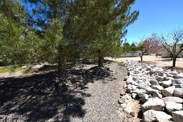 1601 Jones St, Minden, NV 89423 - view of yard
