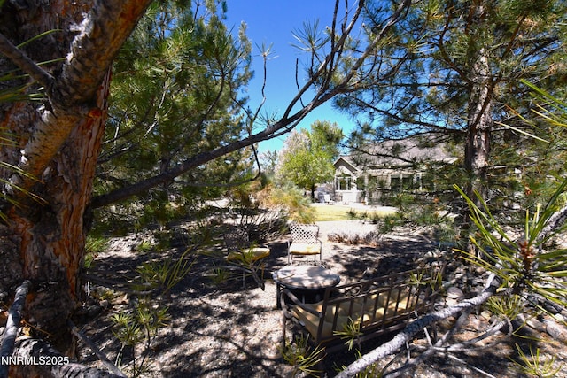1601 Jones St, Minden, NV 89423 - view of yard
