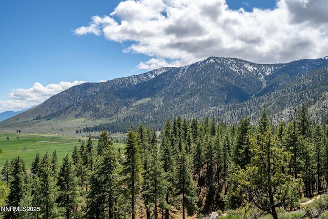 3510 Cutoff Trl, Carson City, NV 89705