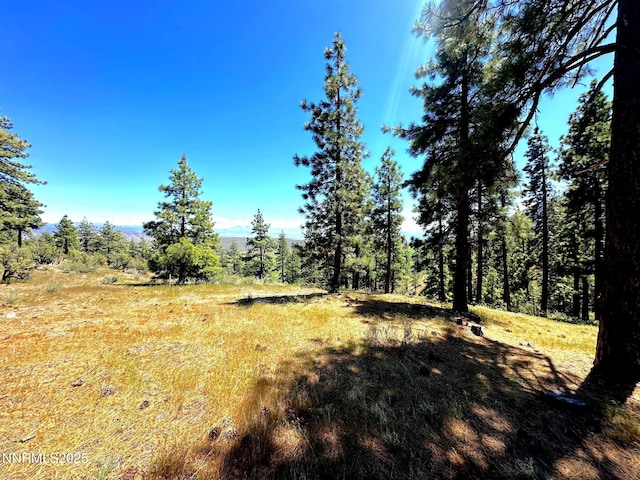 3510 Cutoff Trl, Carson City, NV 89705