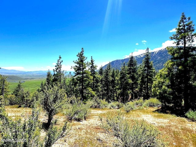 3510 Cutoff Trl, Carson City, NV 89705