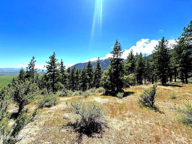 3510 Cutoff Trl, Carson City, NV 89705