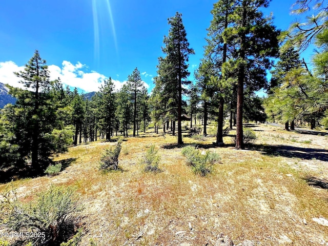 3510 Cutoff Trl, Carson City, NV 89705
