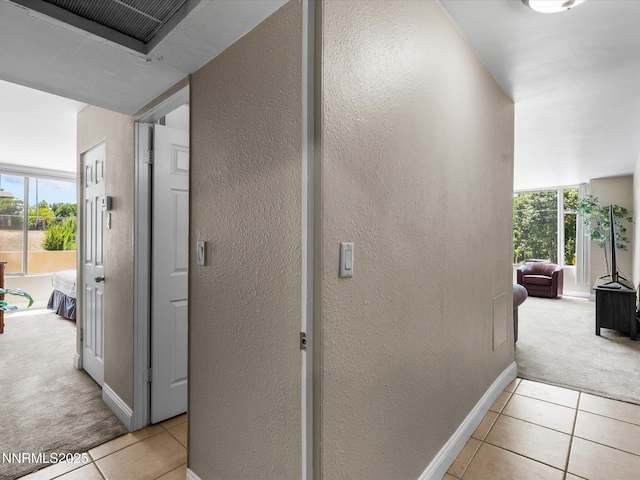 280 Island Ave Unit 302, Reno, NV 89501 - corridor featuring light carpet, healthy amount of natural light, light tile patterned floors, a textured wall, and baseboards