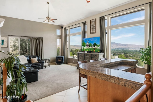 6 Canyon Dr, Carson City, NV 89703 - living room with a wood stove, a ceiling fan, and light colored carpet