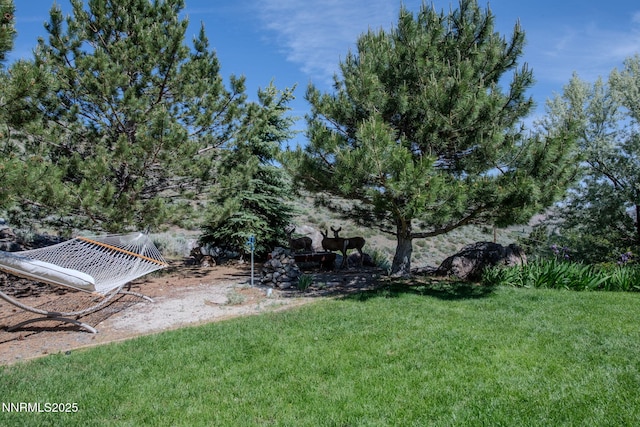 6 Canyon Dr, Carson City, NV 89703 - view of green lawn