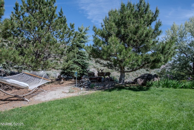 6 Canyon Dr, Carson City, NV 89703 - view of grassy yard
