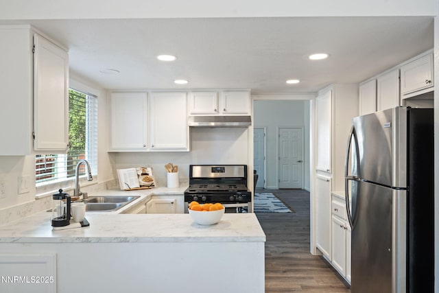 1821 Fargo Way, Sparks, NV 89434 - kitchen with stainless steel appliances, a sink, under cabinet range hood, light countertops, and a peninsula