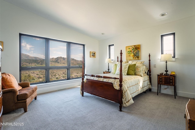 310 James Canyon Loop, Genoa, NV 89411 - bedroom with vaulted ceiling, carpet floors, and baseboards