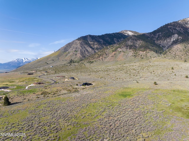 310 James Canyon Loop, Genoa, NV 89411 - view of mountain background