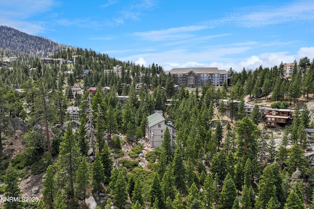 305 Galaxy Ln # 6, Stateline, NV 89449 - photo 19