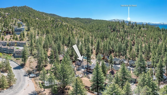 223 Lyons Ave, Zephyr Cove, NV 89448 - aerial overview of property's location with a mountain backdrop and a forest