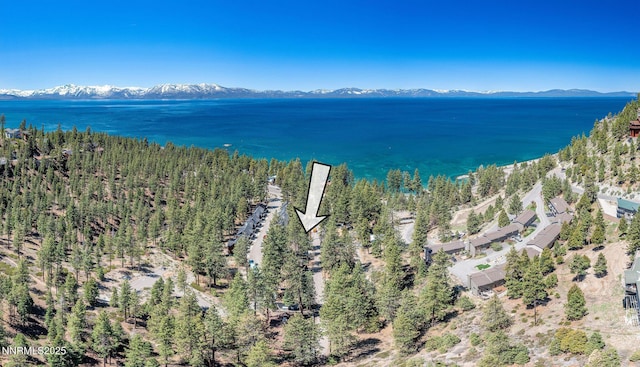 223 Lyons Ave, Zephyr Cove, NV 89448 - drone / aerial view of a water and mountain view