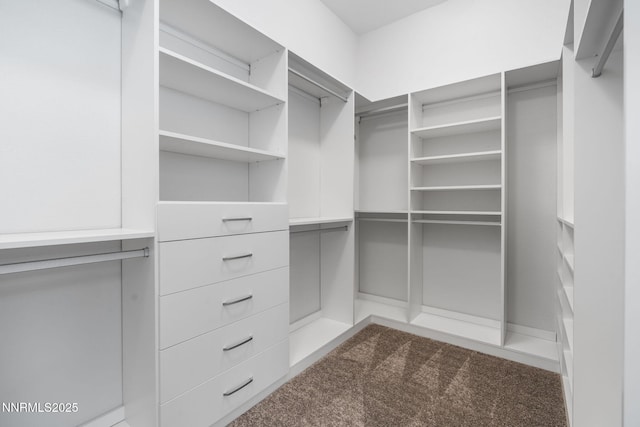 11621 Desert Shadow Dr, Sparks, NV 89441 - spacious closet featuring dark carpet