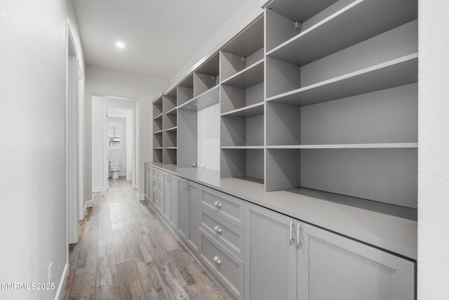 11621 Desert Shadow Dr, Sparks, NV 89441 - spacious closet featuring light wood finished floors
