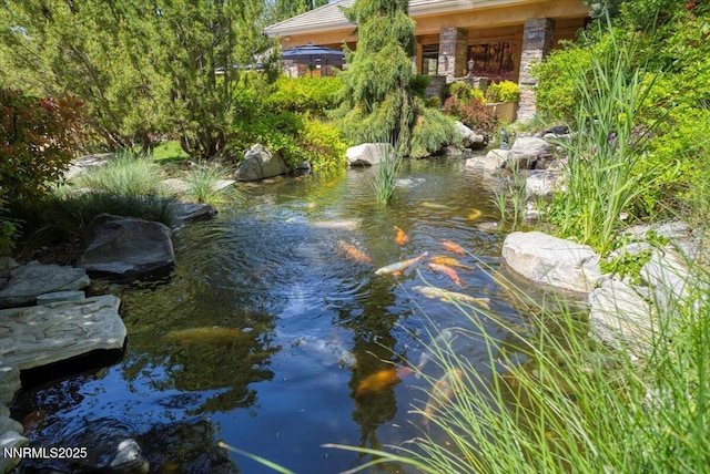 900 S Meadows Pkwy Unit 5222, Reno, NV 89521 - water view with a garden pond