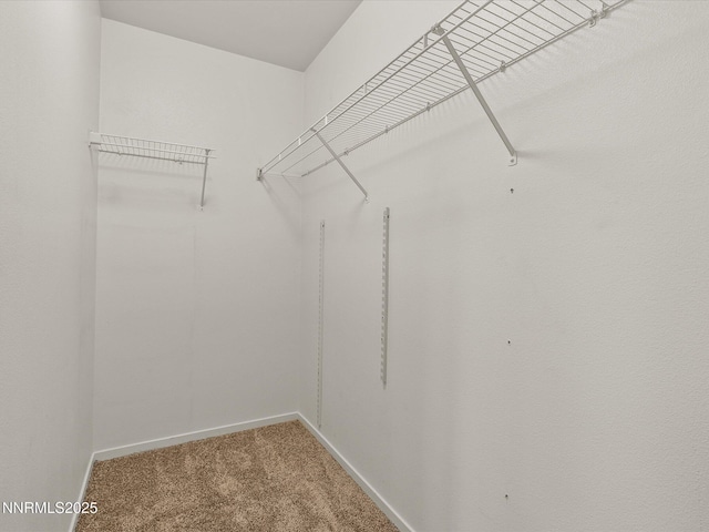 7310 Aquene Ct, Sparks, NV 89436 - photo 17