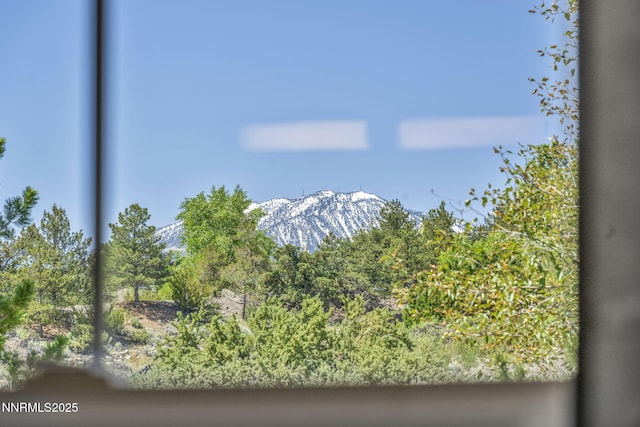 2965 Roundrock Ct, Reno, NV 89511 - detailed view of a mountain backdrop