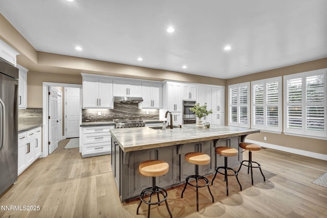 2965 Roundrock Ct, Reno, NV 89511 - kitchen with a sink, under cabinet range hood, tasteful backsplash, a kitchen island with sink, and appliances with stainless steel finishes