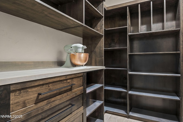 9129 Wild Skies Way, Reno, NV 89523 - view of walk in closet