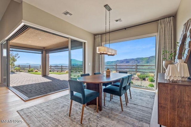 9220 Wild Skies Ct, Reno, NV 89523 - dining room with a mountain view, wood finished floors, and plenty of natural light