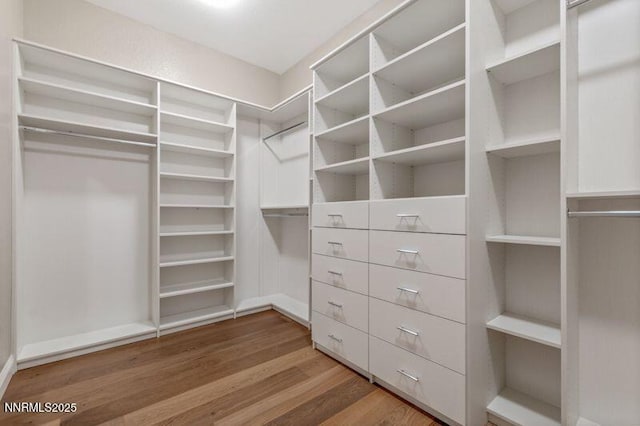 9220 Wild Skies Ct, Reno, NV 89523 - walk in closet featuring wood finished floors