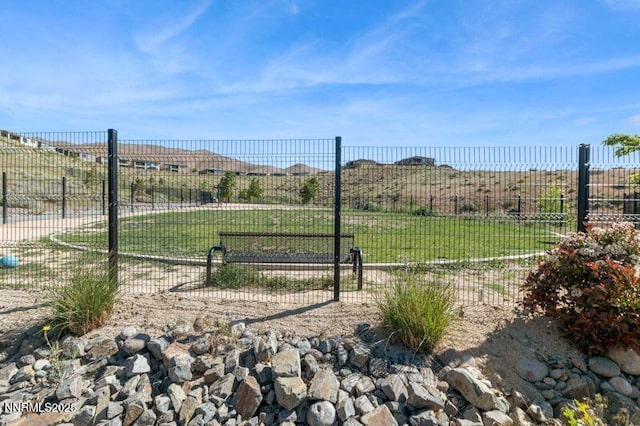 9220 Wild Skies Ct, Reno, NV 89523 - view of yard