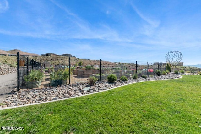 9220 Wild Skies Ct, Reno, NV 89523 - view of yard
