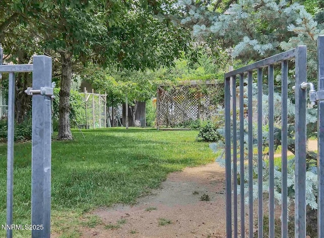 1303 N Division St, Carson City, NV 89703 - view of yard
