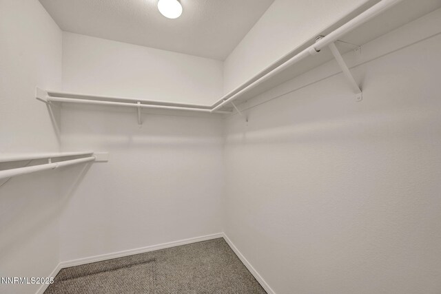 1458 Rosy Finch Dr, Sparks, NV 89441 - spacious closet featuring carpet floors