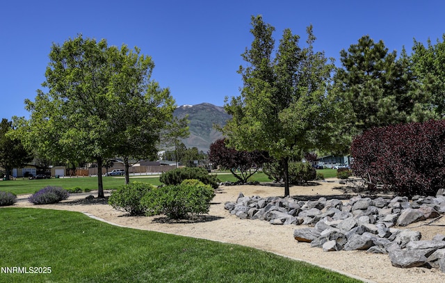 12101 Green Mountain St, Reno, NV 89506 - view of property's community with a mountain view and a yard