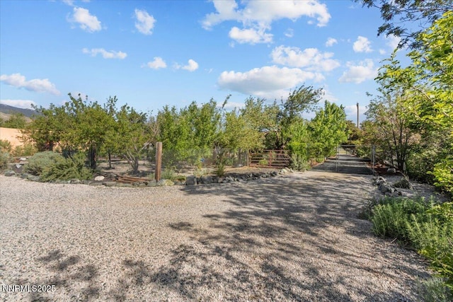 1235 Koontz Ln, Carson City, NV 89701 - view of property's community with a view of rural / pastoral area