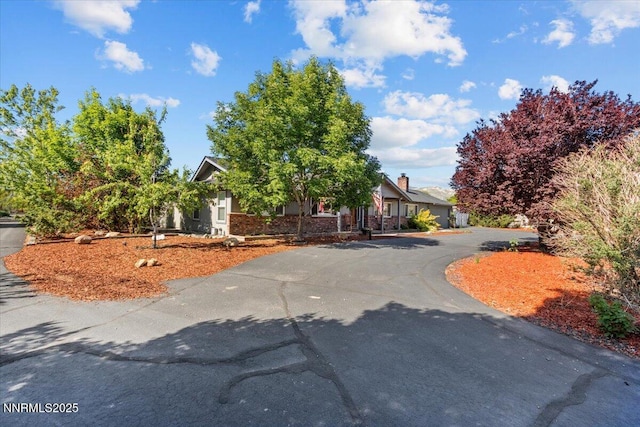 1235 Koontz Ln, Carson City, NV 89701 - view of property hidden behind natural elements featuring asphalt driveway