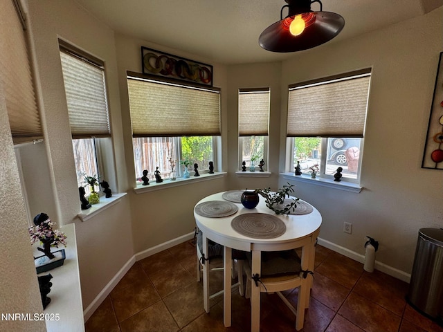 1332 Brooke Way, Gardnerville, NV 89410 - dining space featuring healthy amount of natural light, tile patterned floors, and baseboards