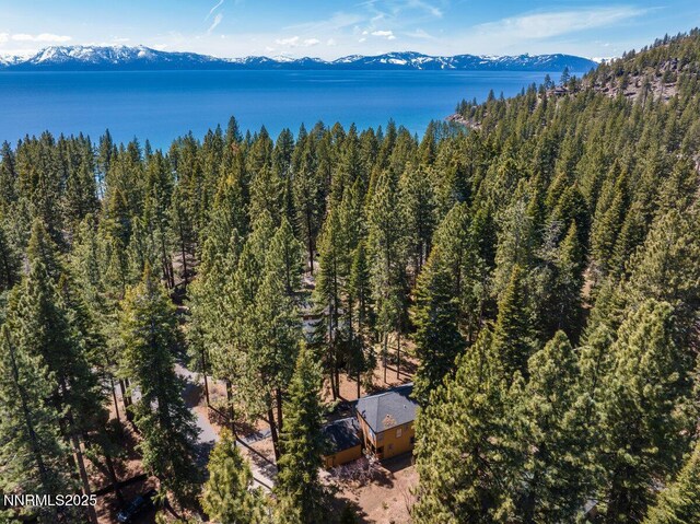 116 Pray Meadow Rd, Glenbrook, NV 89413 - photo 5
