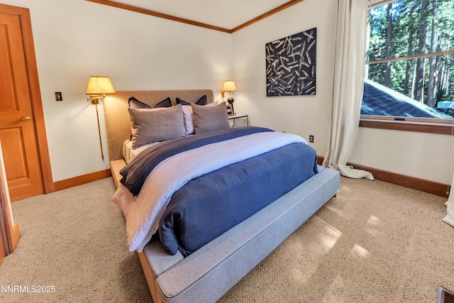 116 Pray Meadow Rd, Glenbrook, NV 89413 - photo 29
