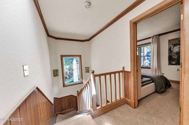 116 Pray Meadow Rd, Glenbrook, NV 89413 - photo 33
