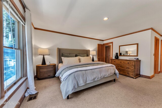 116 Pray Meadow Rd, Glenbrook, NV 89413 - photo 38