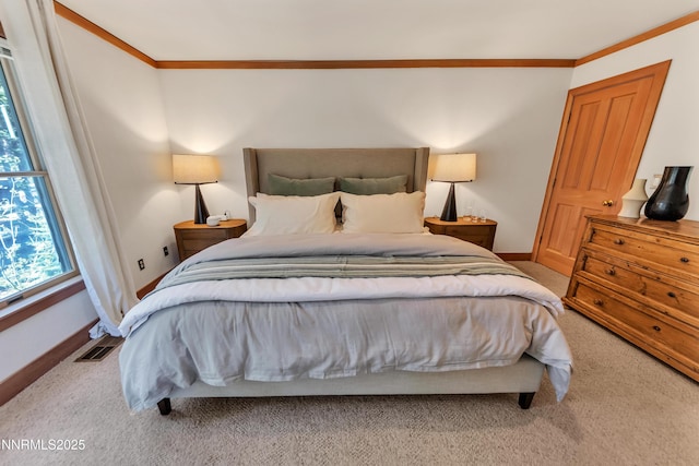 116 Pray Meadow Rd, Glenbrook, NV 89413 - photo 39
