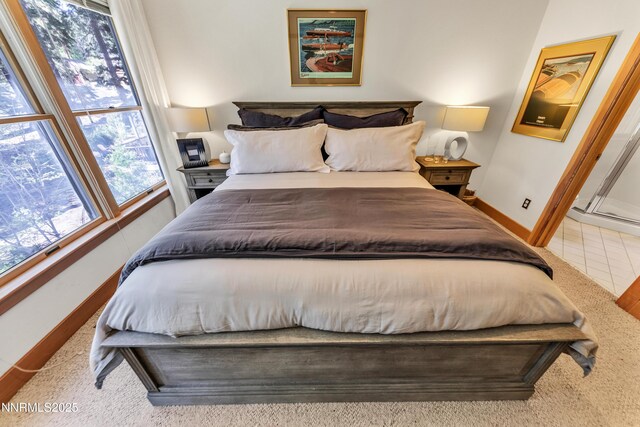 116 Pray Meadow Rd, Glenbrook, NV 89413 - photo 44