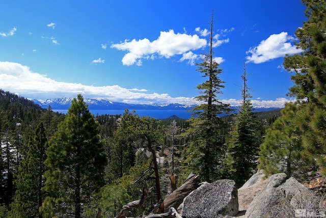 313 Tramway Dr Unit 7, Stateline, NV 89449 - view of mountain background with a heavily wooded area