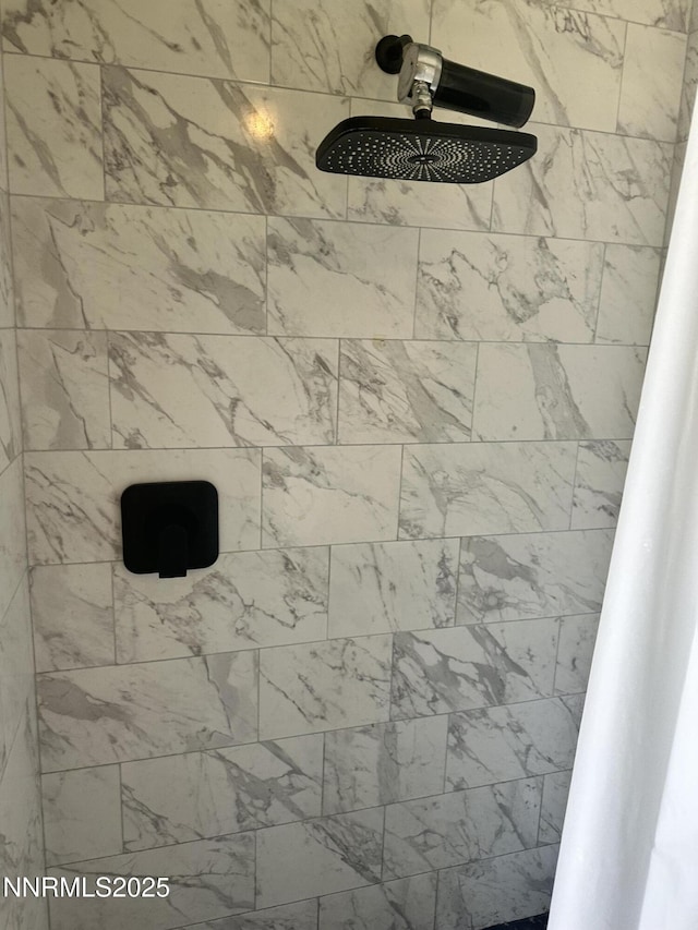2068 NE Sierra Vista Dr, Tonopah, NV 89049 - bathroom view of tiled shower