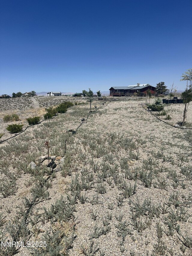 2068 NE Sierra Vista Dr, Tonopah, NV 89049 - view of yard