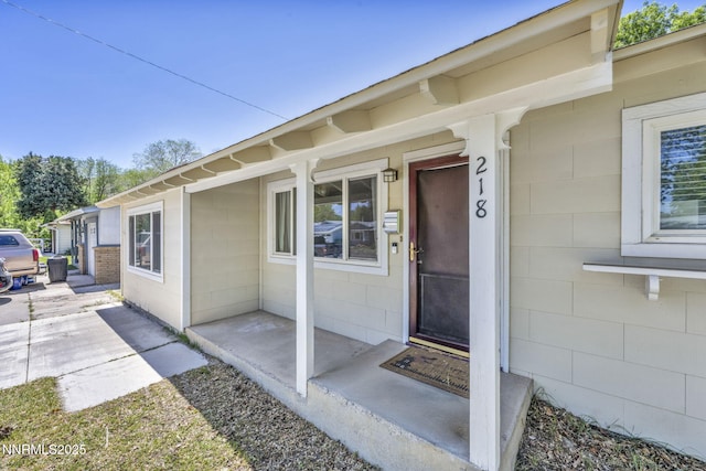 218 Albany Ave, Carson City, NV 89703 - photo 4