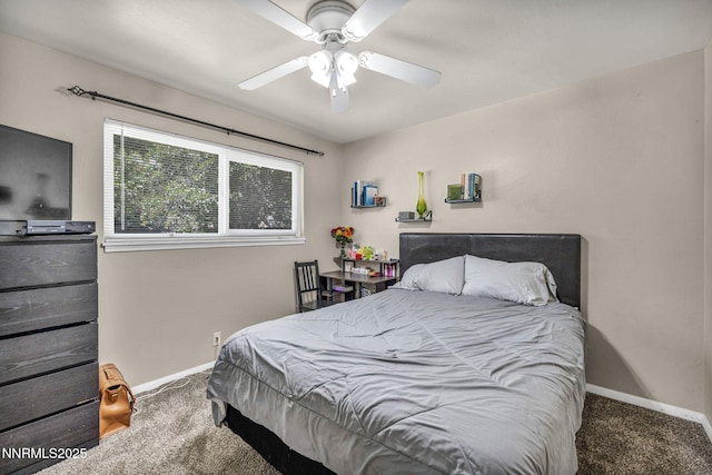 218 Albany Ave, Carson City, NV 89703 - photo 20