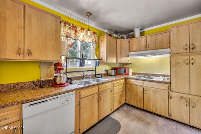218 Albany Ave, Carson City, NV 89703 - photo 14