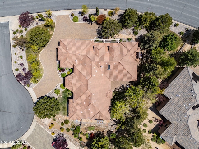 14501 Quail Rock Ct, Reno, NV 89511 - bird's eye view