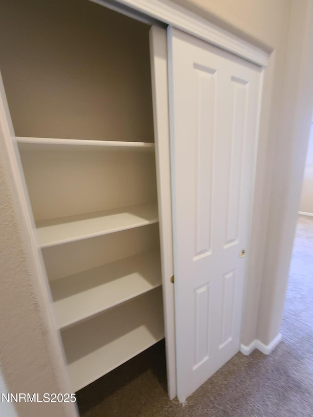 580 Boulder Peak Ct, Sparks, NV 89436 - view of closet