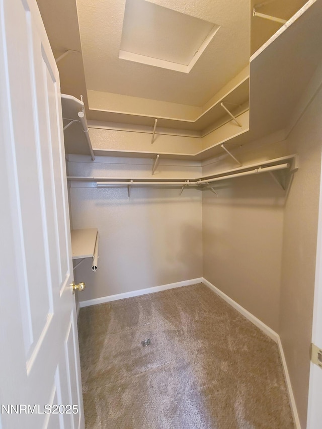 580 Boulder Peak Ct, Sparks, NV 89436 - walk in closet with carpet flooring