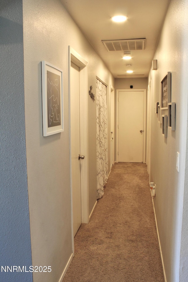 1311 Yellowjacket Ln, Gardnerville, NV 89460 - hallway featuring carpet